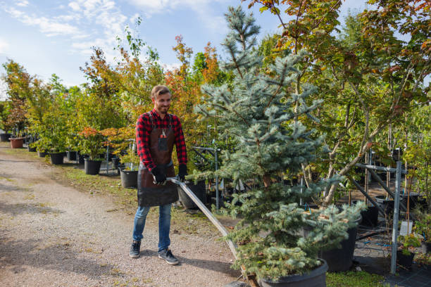 Best Leaf Removal  in Carbonville, UT